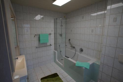 a bathroom with a shower and a bath tub at Ferienhaus Am Arzberg in Kurort Steinbach-Hallenberg