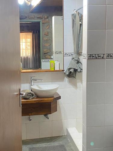 a bathroom with a sink and a mirror at Outeniqua Guest Farm in Okahandja