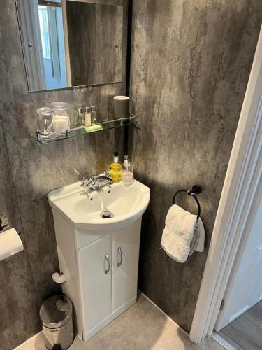 a bathroom with a white sink and a mirror at Pitfield Apartments in Willand