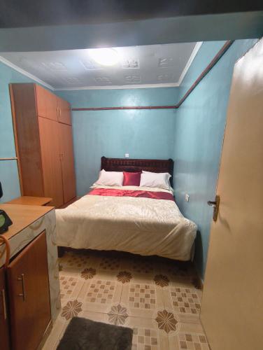 a bedroom with a bed in a blue room at WMSAJ HOMEs in Narok
