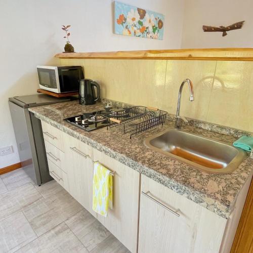 a kitchen counter with a sink and a microwave at Los Nenúfares in Lago Puelo