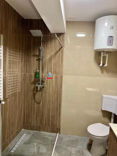 a bathroom with a shower and a toilet at Parc Vatra Dornei - The 7th Haven in Vatra Dornei
