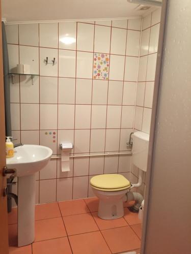 a bathroom with a toilet and a sink at Pensiunea Kristine Sibiu in Sibiu