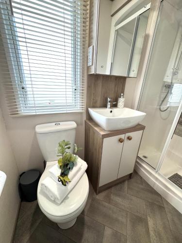 a bathroom with a toilet and a sink at The Lobster Pot in Ilfracombe