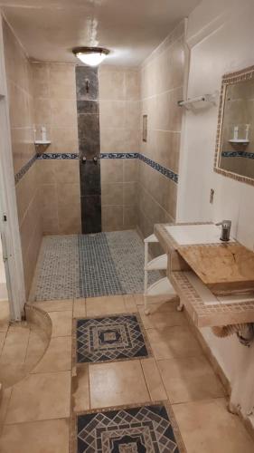 a bathroom with a shower with a sink at Casa del Jaibo in Heroica Alvarado
