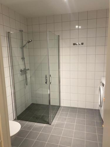 a bathroom with a shower and a sink at Leilighet i Tromsø in Tromsø
