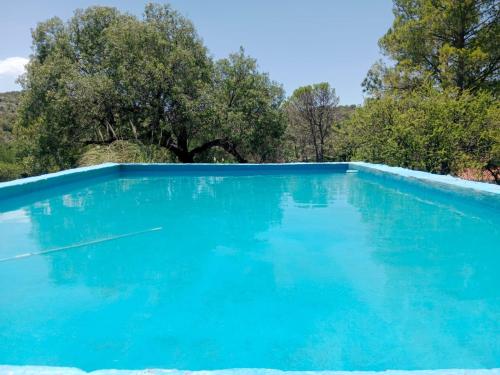 een blauw zwembad met bomen op de achtergrond bij La Pasionaria, casa de campo con pileta in Villa García