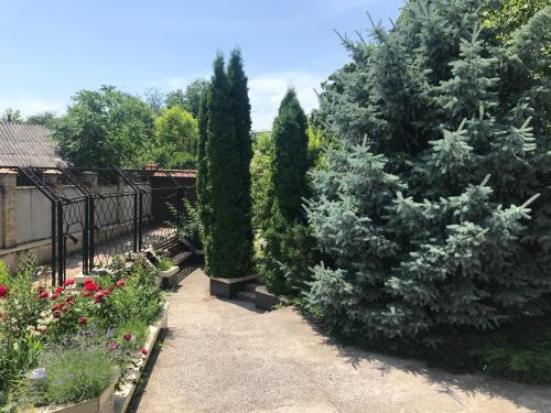 Jardí fora de Vip House