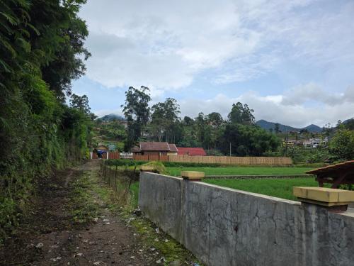 a dirt road next to a stone wall next to a field at Villa zann kaktus in Nempel