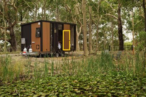 een klein huisje midden in een bos bij Inana Shanti by Tiny Away in Cooranbong