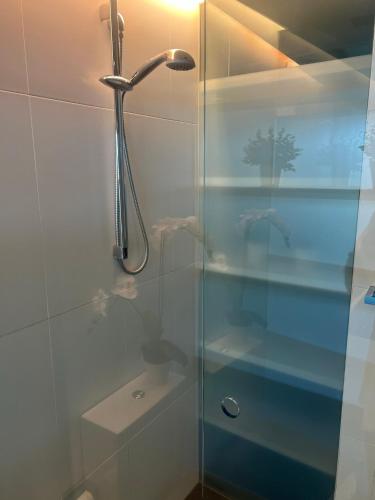 a shower with a glass door in a bathroom at Luxe 1 BR Retreat Lake Views at Nishi New Acton Canberra City in Canberra