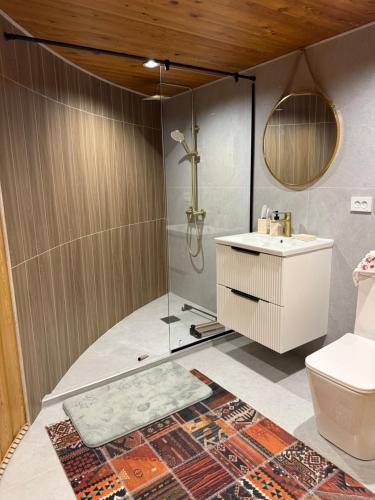 un bagno con doccia, lavandino e WC di Kolsay Kazakh Village a Saty