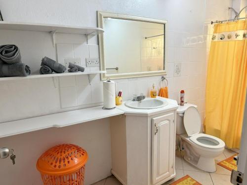 a bathroom with a sink and a toilet and a mirror at Krystal Apartment in Grande Rivière
