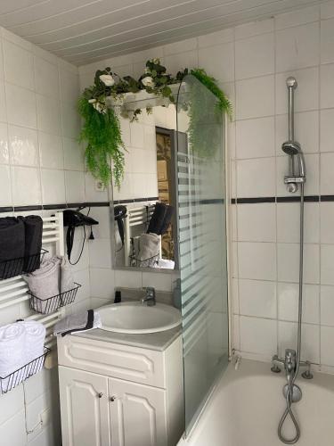 a bathroom with a shower and a sink and a mirror at Au Pied de Troncais in Coust
