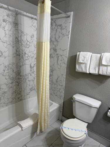 a bathroom with a toilet and a shower curtain at Sycamore Inn Chico University Area in Chico