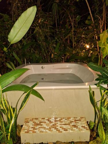 Foto de la galeria de Garden House a Fortuna