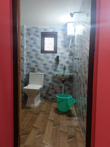 a bathroom with a toilet and a sink at Destiny Lodge & Homestay in Nāzirā