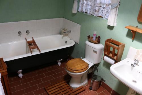 a bathroom with a toilet and a tub and a sink at Dunford's Loft in Himeville