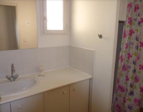 サン・レミ・ド・プロヴァンスにあるLe Mazet 40のバスルーム(シンク、鏡、シャワーカーテン付)