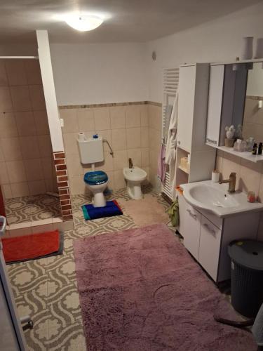 een badkamer met toilet en wastafel bij Casa Denis in Turda