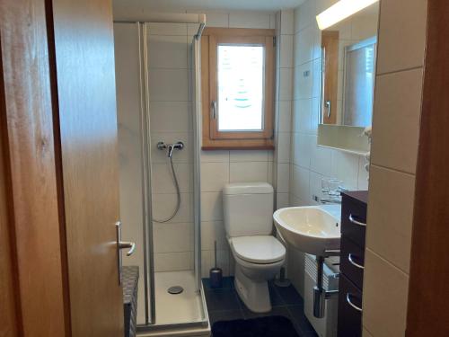 een badkamer met toilet en wastafel bij Chalet Lueg uf Belalp in Rosswald