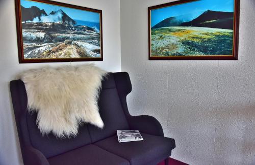 Posezení v ubytování Guesthouse Hamar