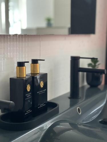 a sink with two soap dispensers on top of it at Beautiful condominium with jacuzzi in Brussels