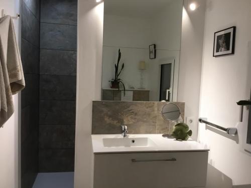 a bathroom with a sink and a shower with a mirror at Cosy corner in La Celle-sous-Gouzon