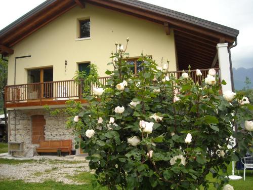 a house with white roses in front of it at Agriturismo Il Girasole in Feltre