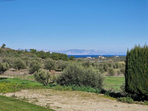 a view of a field with trees and the ocean at The Olive Grove Villa Private Pool with star links WiFi in Theologos