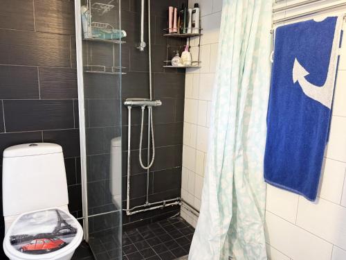 a bathroom with a shower with a toilet and a shower curtain at Charming red cottage in Vaderstad SE10024 in Väderstad