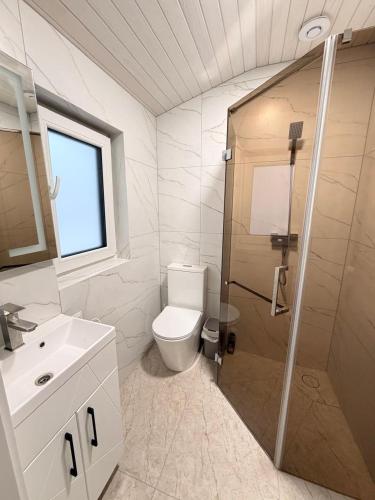 a bathroom with a toilet and a shower and a sink at Home Hill in Kozevo