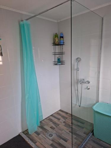 a bathroom with a shower with a glass door at Šumarac in Karadak