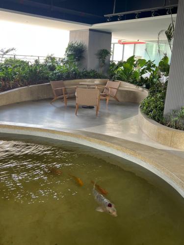 una carpa koi che nuota in una piscina in un edificio di LeConde Luxury a Phnom Penh