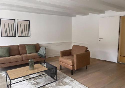 un soggiorno con un divano e una sedia di The R Apartment Bodensee - Old Town a Schaffhausen