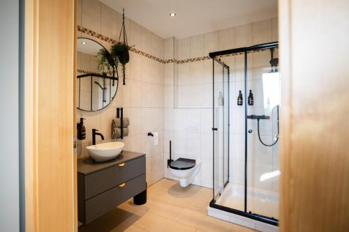a bathroom with a toilet and a sink and a shower at Strommer wine das Gästehaus in Purbach am Neusiedlersee