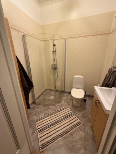 a small bathroom with a toilet and a sink at Villa Thurdus in Härnösand