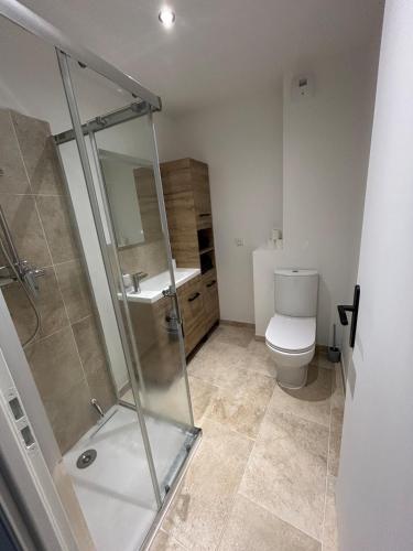 a bathroom with a shower and a toilet at La maison du Quart - Maison de village in Sommières