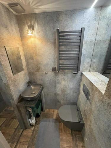 a bathroom with a sink and a toilet at Agrobiskupin Kaczmarek 2 in Gąsawa