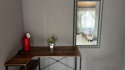 a mirror and a table with a plant on it at K K K Guesthouse in Secunda