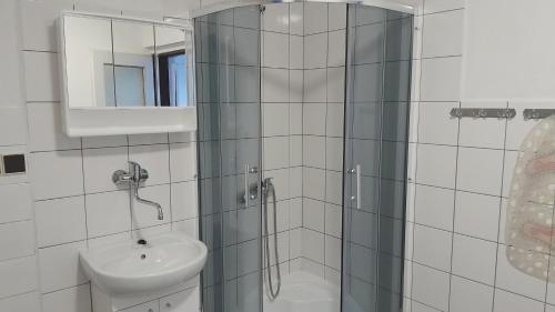 a bathroom with a shower and a sink and a toilet at Apartmány SRC in Nové Město pod Smrkem