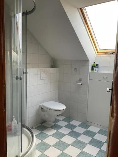 a bathroom with a toilet and a shower at Pokoj U lesa Zaolší in Vendryně