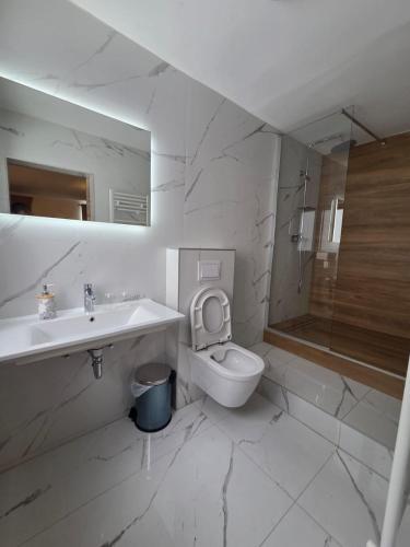 a bathroom with a toilet and a sink and a shower at Villa Roko - Gacka Valley in Ličko Lešće