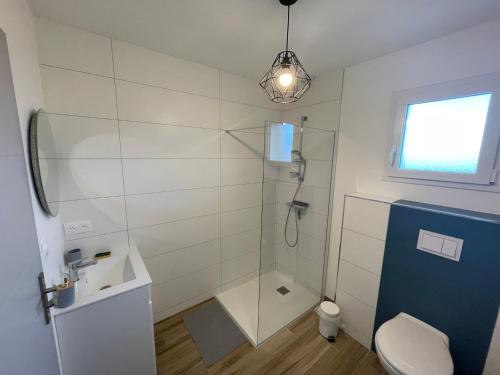 a bathroom with a shower and a toilet and a sink at Chez Tristan in Plouguerneau