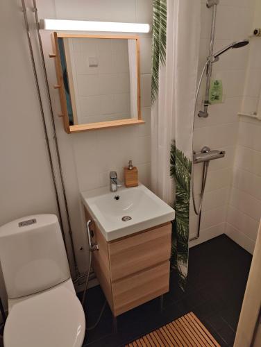 a bathroom with a toilet and a sink and a shower at Amos Coastal Escape Studio - Hanko in Hanko
