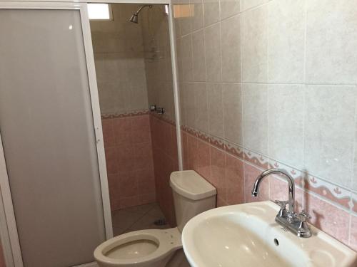 een badkamer met een wastafel, een toilet en een douche bij Hotel Tierra del Sol Oaxaca in Oaxaca City