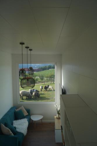a living room with a blue couch and a picture of sheep at Tiny House Auszeit in Nabegg
