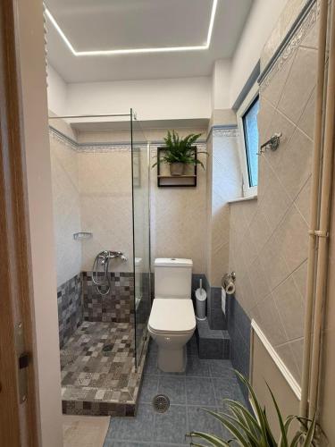 a bathroom with a toilet and a shower at Κτήμα Παππά Ρετιρέ in Livadeia