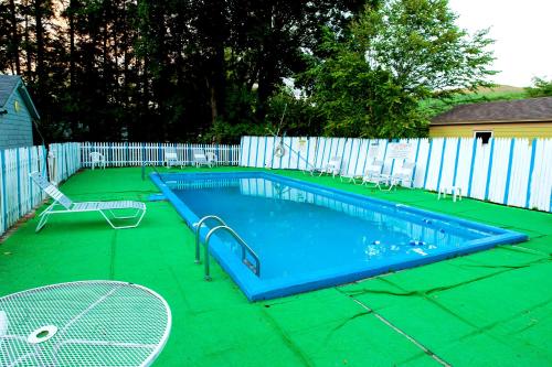 a small swimming pool with a green floor at Willows Motel in Williamstown