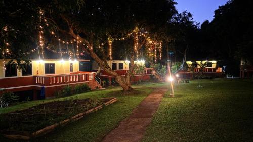 a yard with a tree with christmas lights on it at ViangPhing Resort in Mae Chan